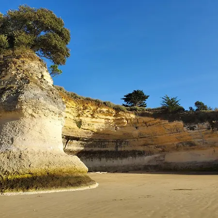 Jolie Maison En Bois A 600m De La Des Vergnes Meschers-sur-Gironde